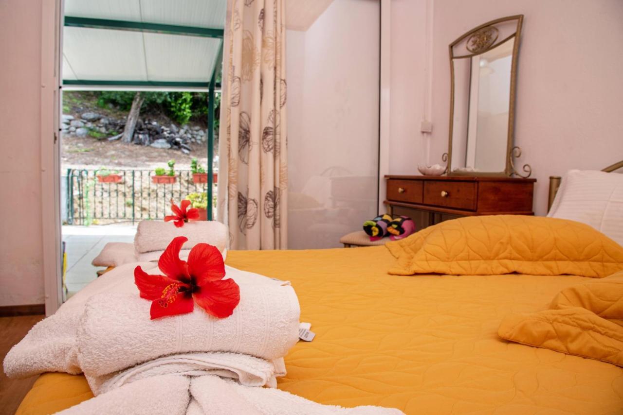 Aliki Apartments باليوكاستريتسا المظهر الخارجي الصورة